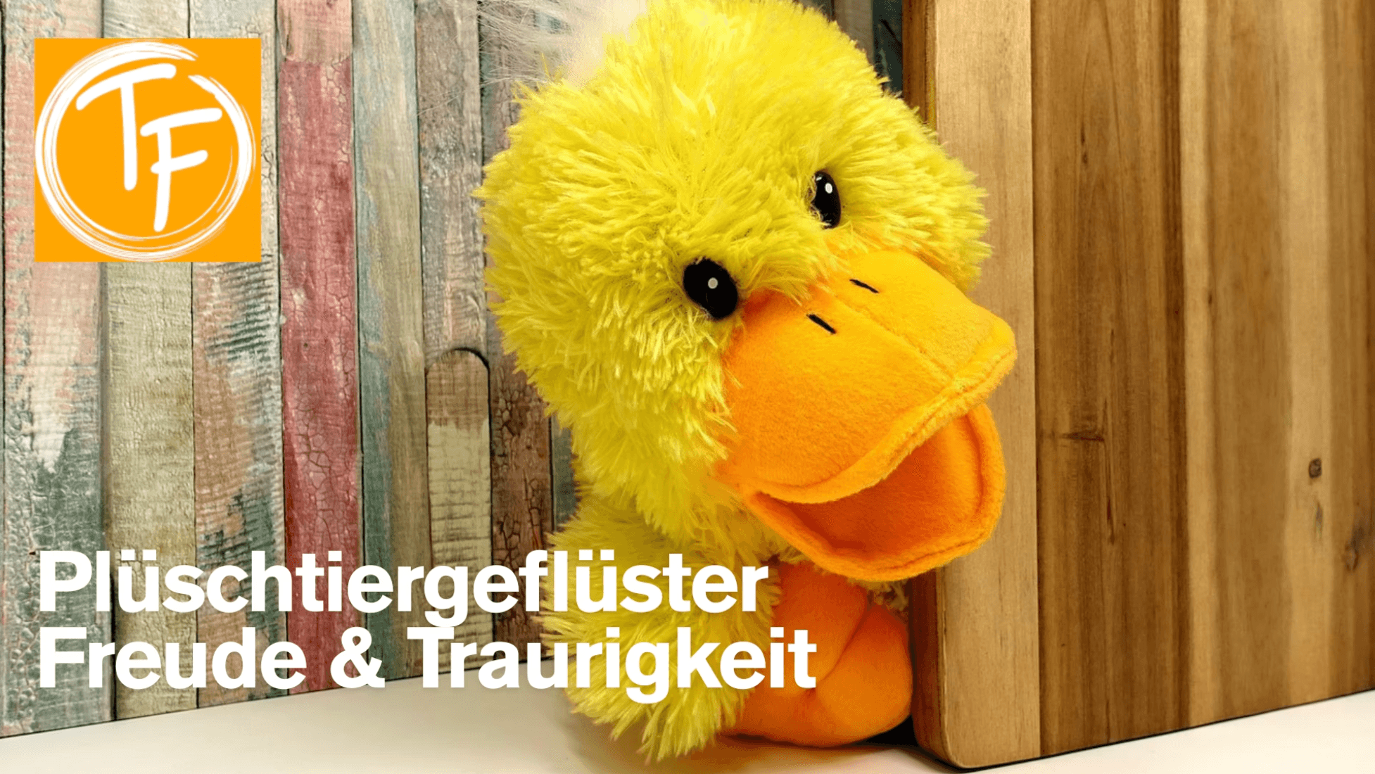 Plüschtiergeflüster mit Tanja Florin-0 - Event Image