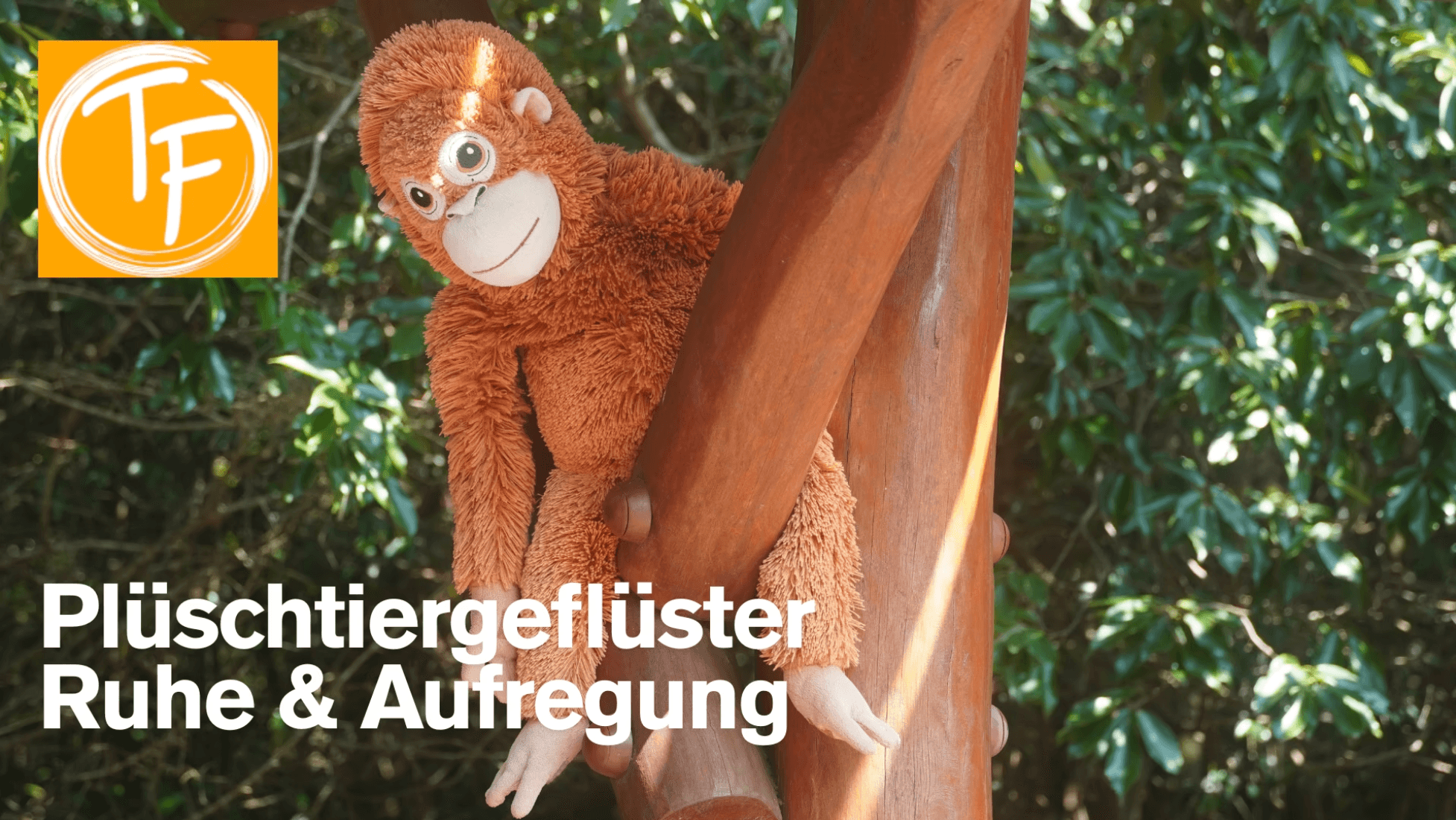 Plüschtiergeflüster mit Tanja Florin-0 - Event Image