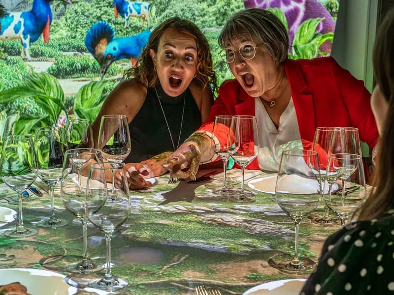 Dine and Light - Die fantastische Reise-1 - Event Image