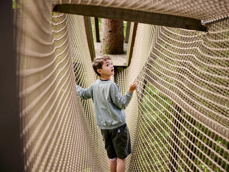 Wipfelpfad auf der Fräkmüntegg-0 - Event Image