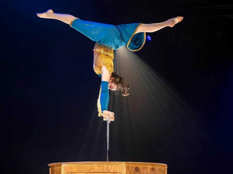 Circus Monti – Bric Brac-0 - Event Image