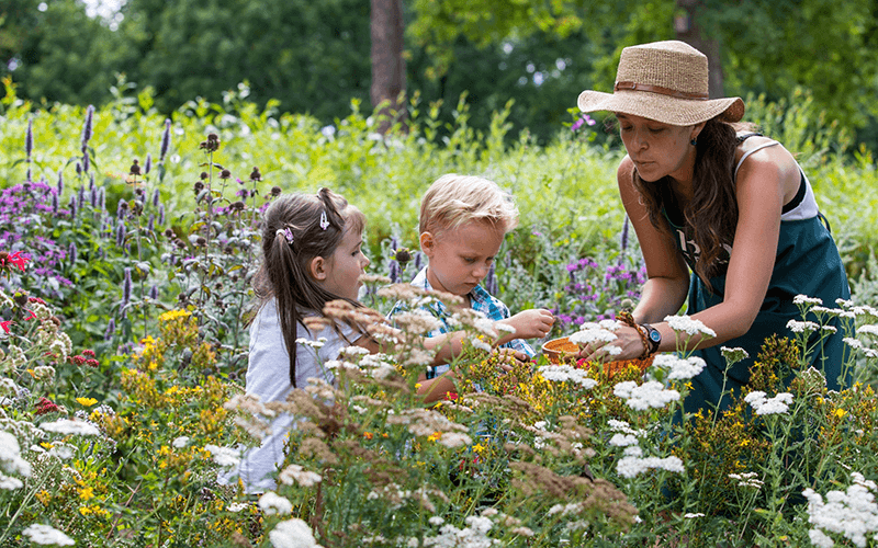 Saisonstart im Gurtengärtli-0 - Event Image