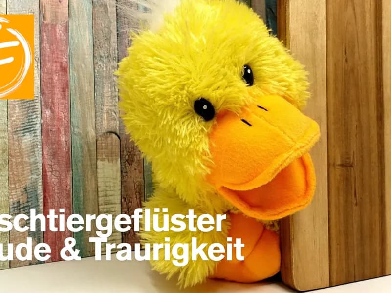 Plüschtiergeflüster mit Tanja Florin-0 - Event Image