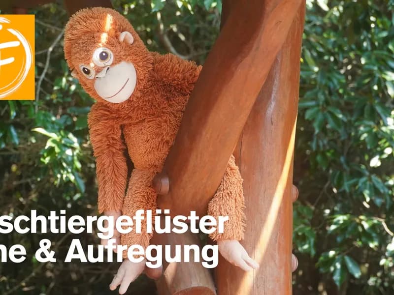 Plüschtiergeflüster mit Tanja Florin-0 - Event Image